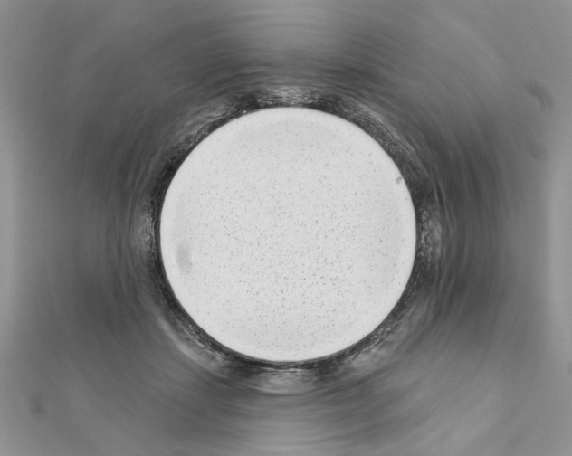 X0000110860459200907301355