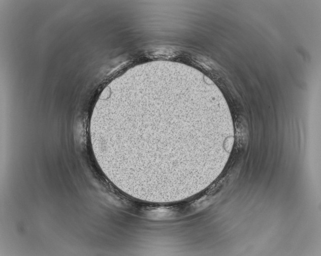 X0000110860460200907301355
