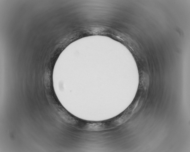 X0000110860461200907301355