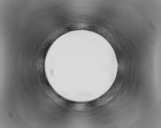 X0000110860462200907301355