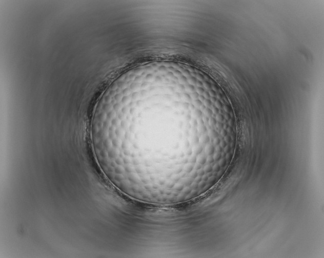 X0000110860463200907301355
