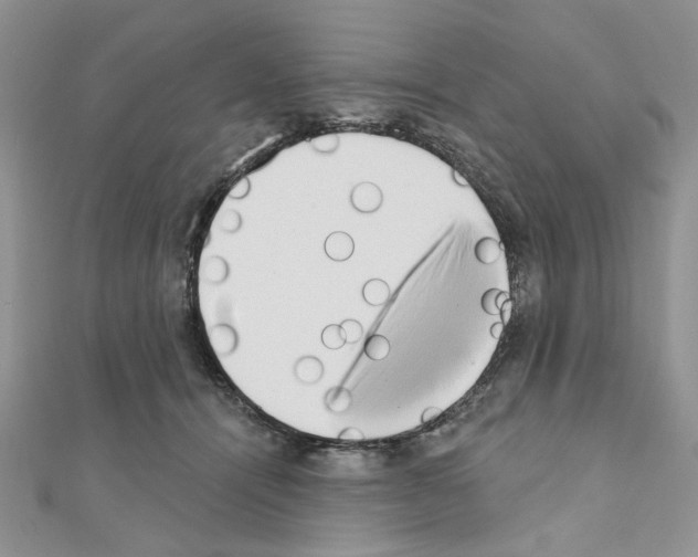 X0000110860464200907301355