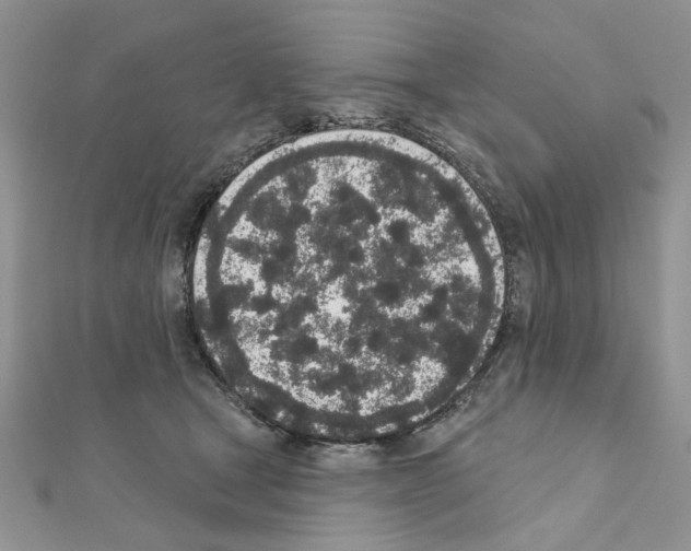 X0000110860465200907301355