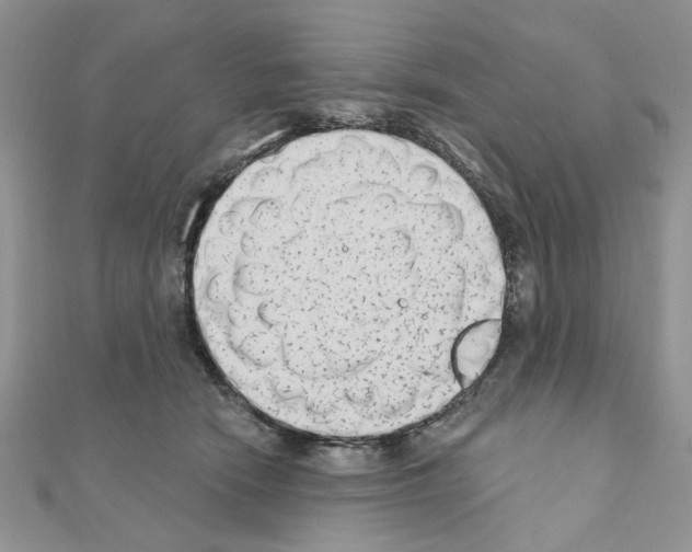 X0000110860466200907301355