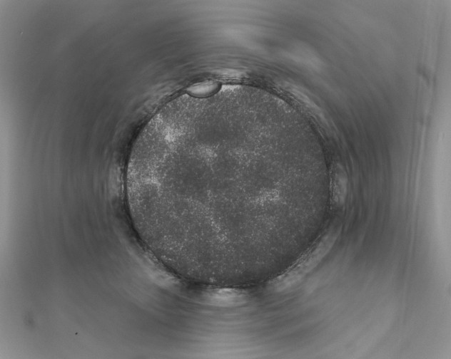 X0000110860467200907301355