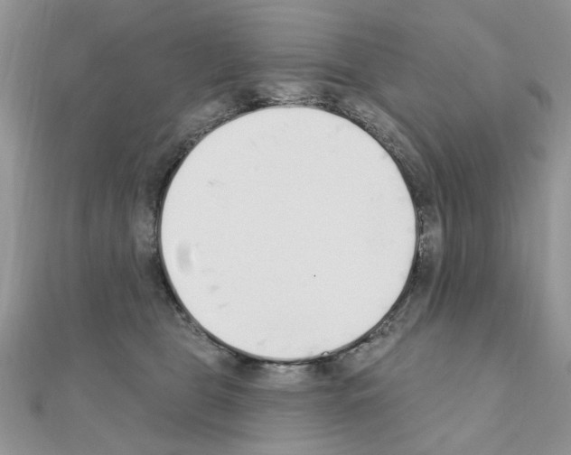 X0000110860469200907301355