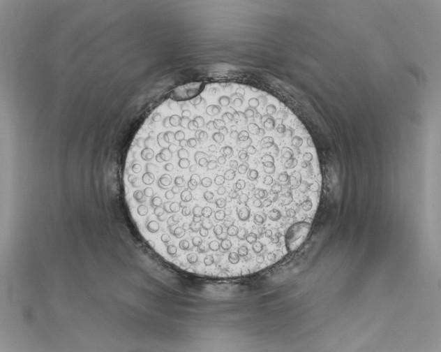 X0000110860470200907301355