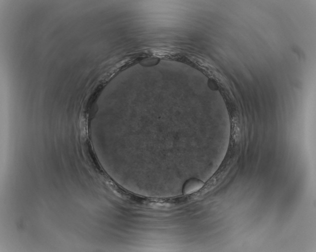 X0000110860471200907301355