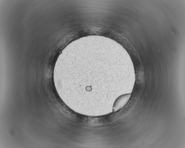 X0000110860472200907301355