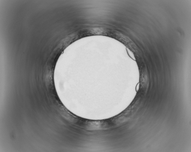 X0000110860473200907301355