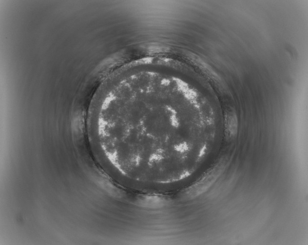 X0000110860475200907301355