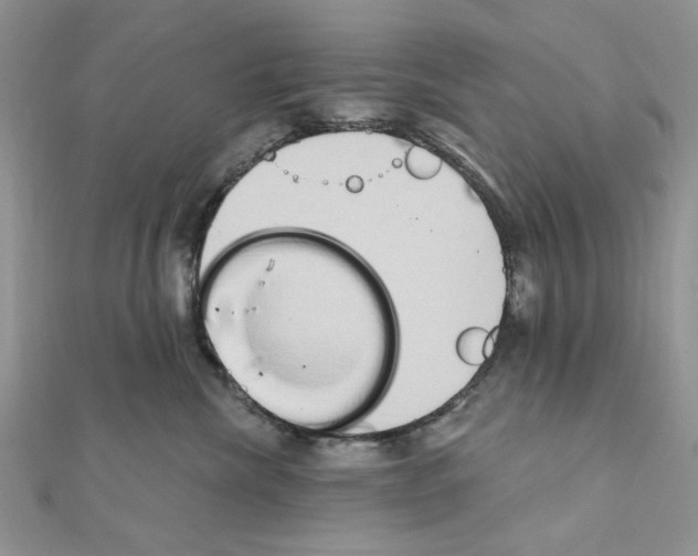 X0000110860476200907301355