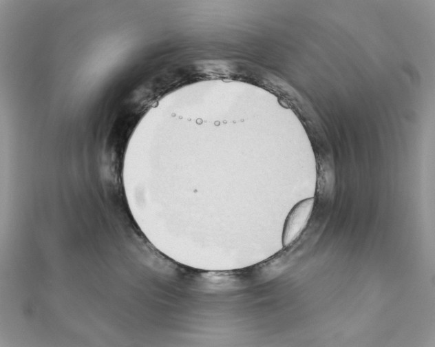 X0000110860477200907301356
