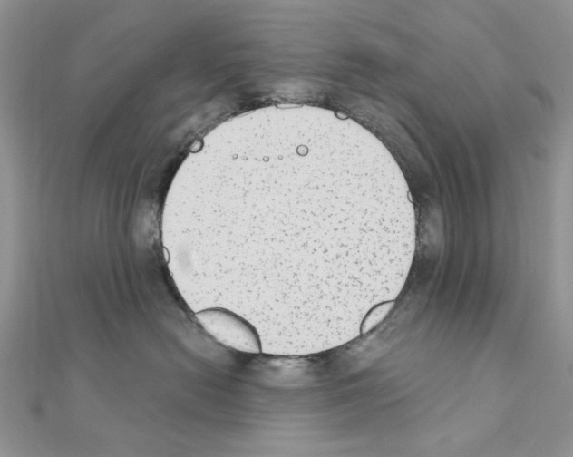 X0000110860478200907301356