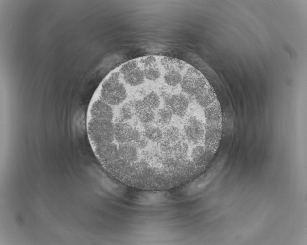 X0000110860479200907301356