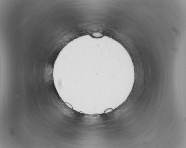 X0000110860480200907301356