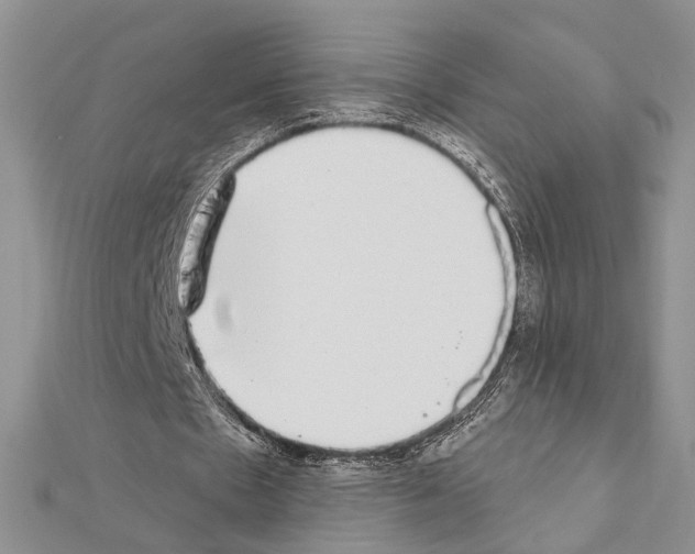 X0000110860481200907301355