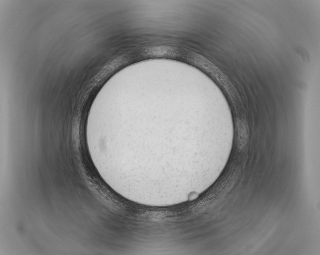 X0000110860482200907301355