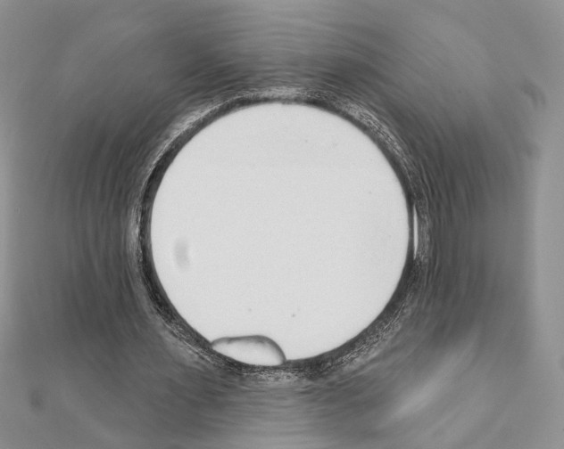 X0000110860483200907301355