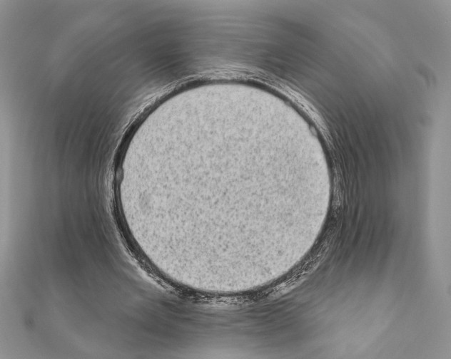 X0000110860485200907301355