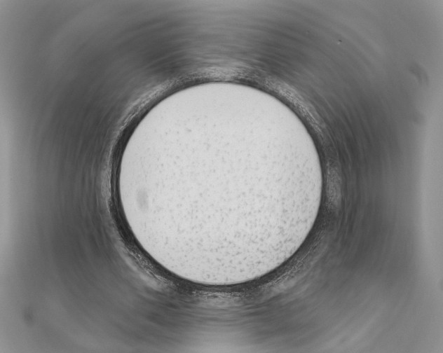 X0000110860486200907301355