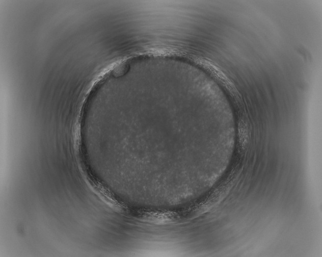 X0000110860488200907301355