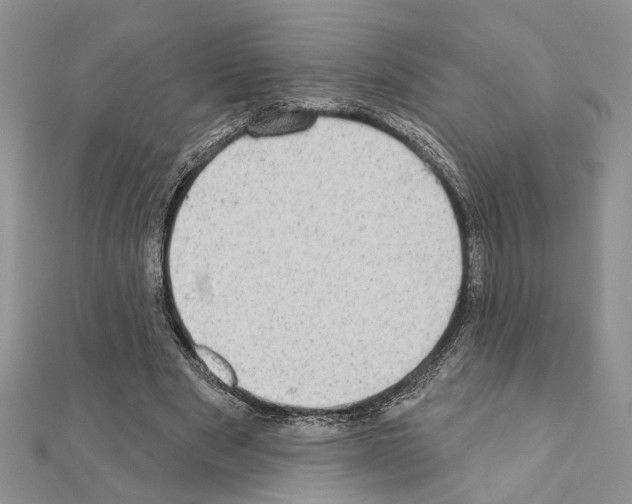 X0000110860489200907301355