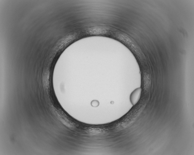 X0000110860490200907301355