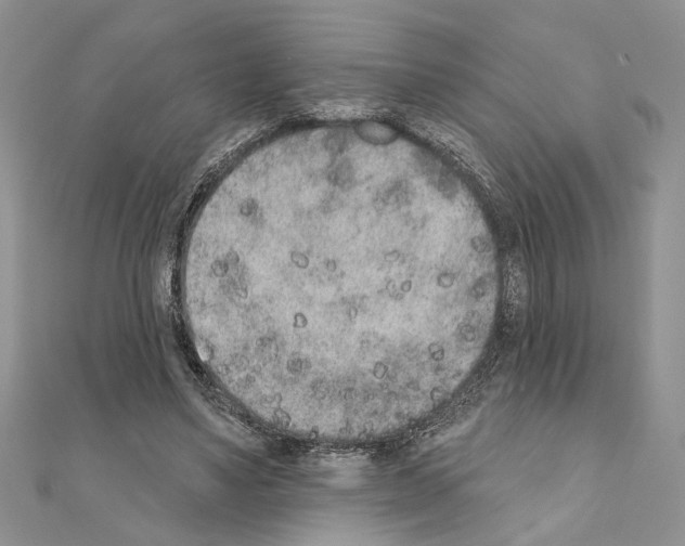X0000110860491200907301355