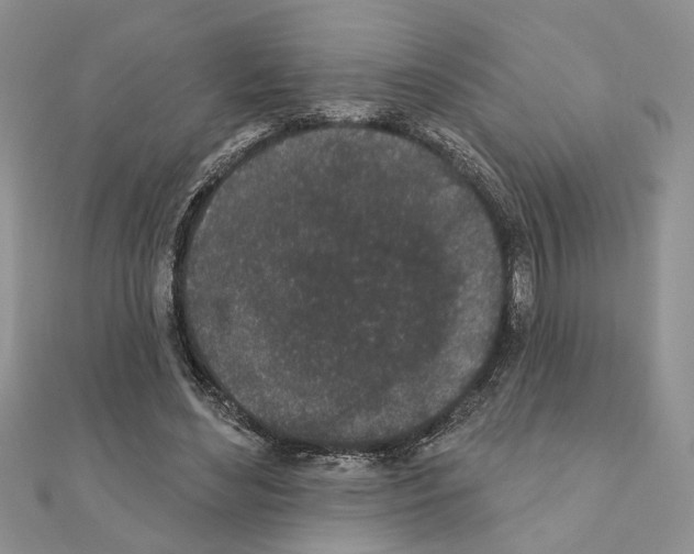 X0000110860492200907301355