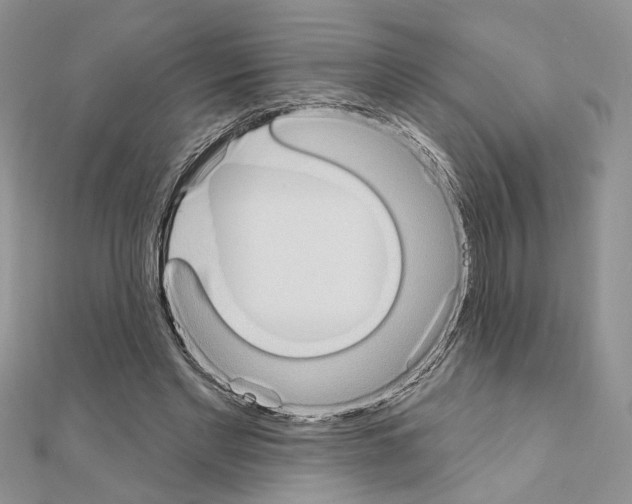 X0000110860493200907301355