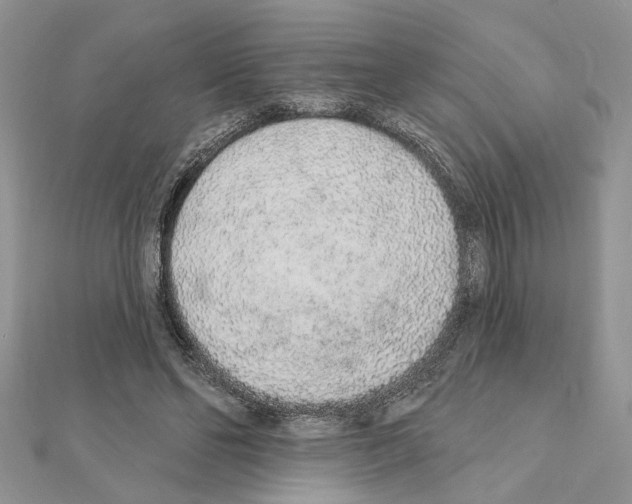 X0000110860494200907301355