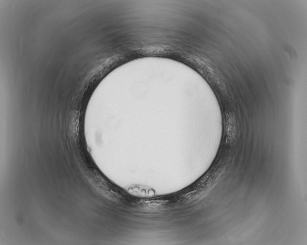 X0000110860495200907301355