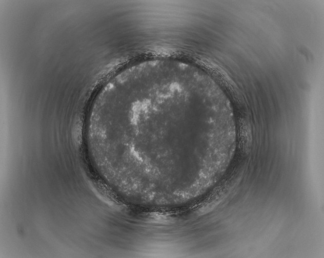 X0000110860496200907301355