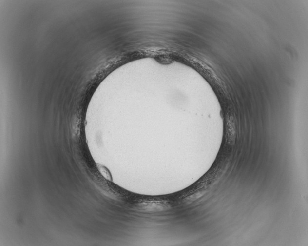 X0000110860499200907301355