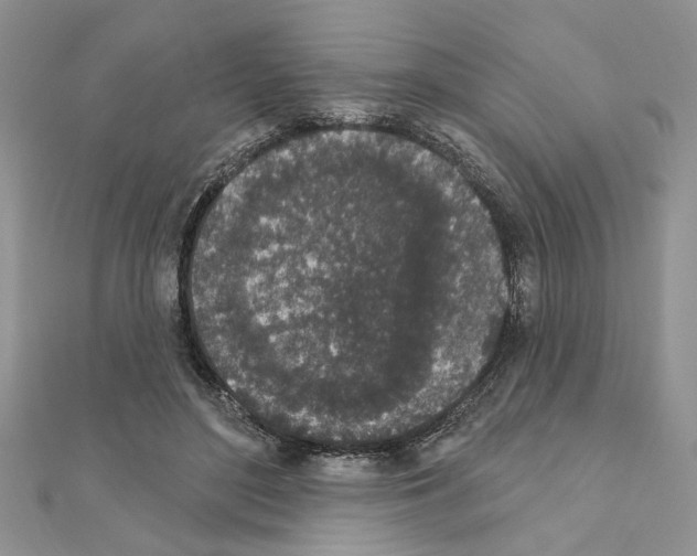 X0000110860500200907301355