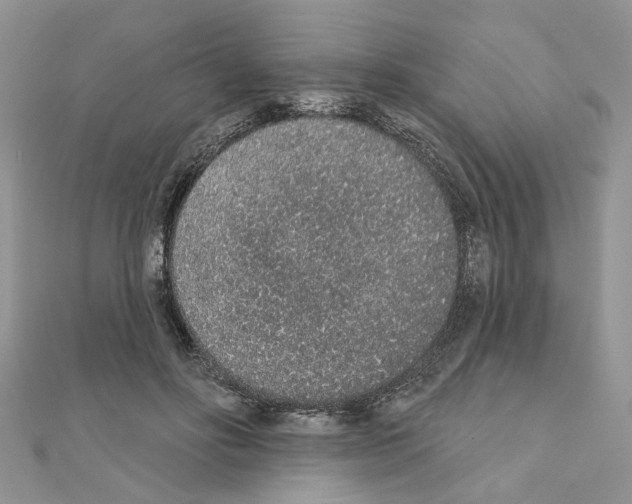 X0000110860502200907301354
