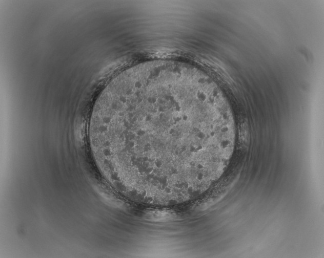 X0000110860503200907301354
