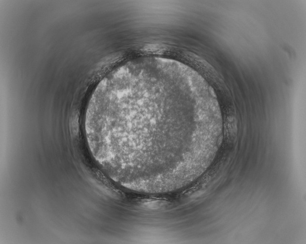 X0000110860504200907301354