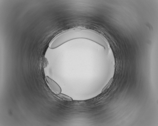 X0000110860505200907301354