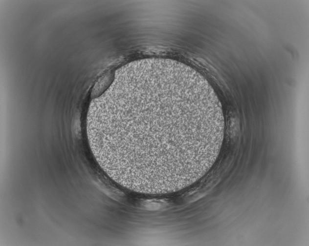 X0000110860508200907301354