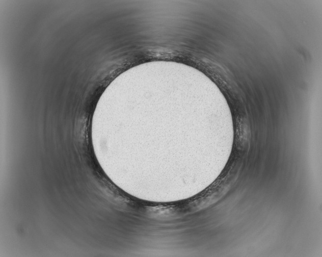 X0000110860511200907301354