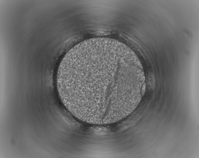 X0000110860512200907301354