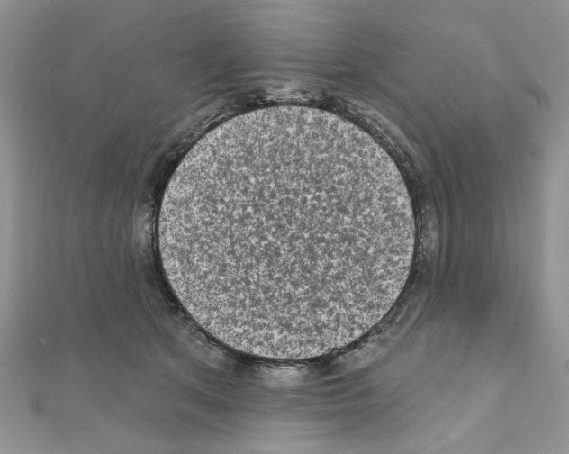X0000110860513200907301354