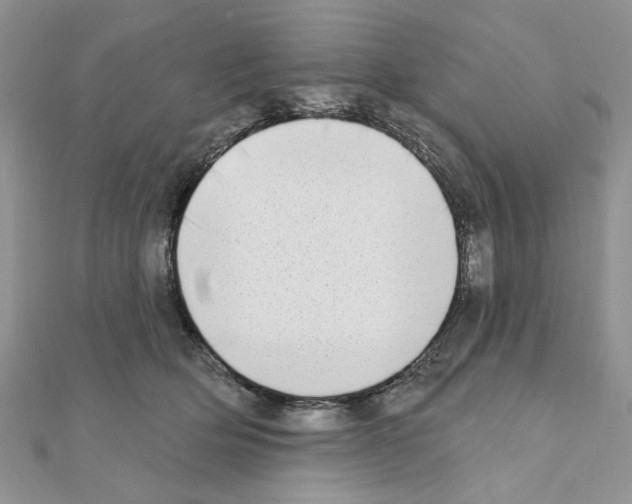 X0000110860514200907301354