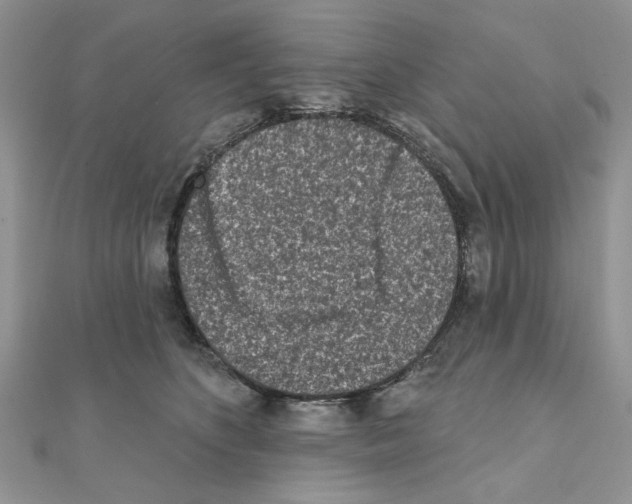 X0000110860516200907301354
