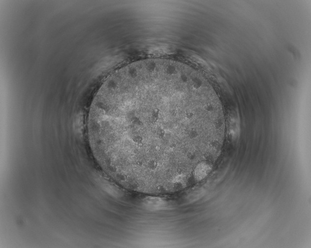 X0000110860519200907301354