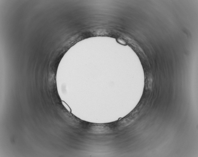 X0000110860521200907301354