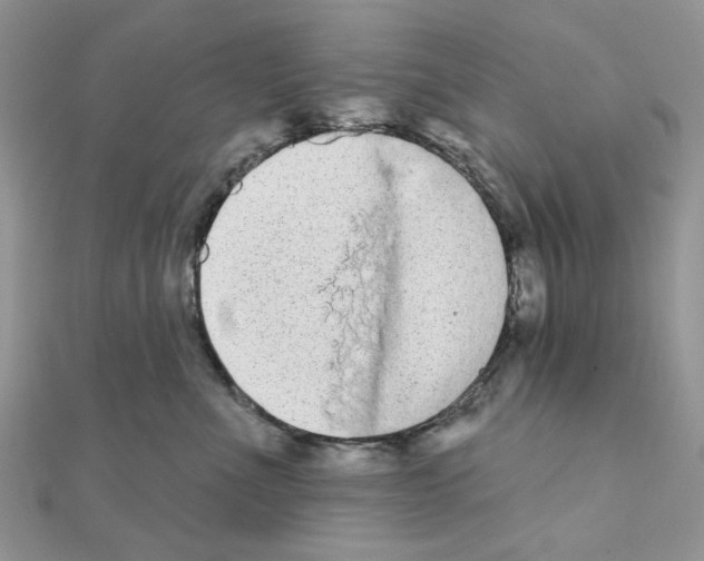 X0000110860523200907301354