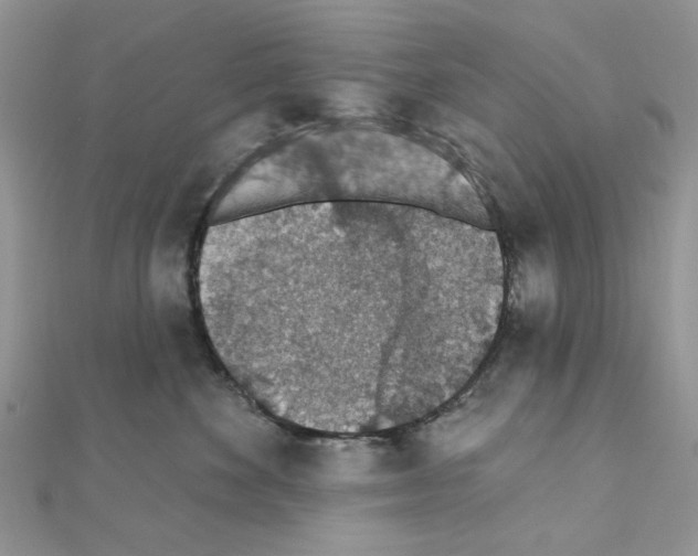X0000110860524200907301354